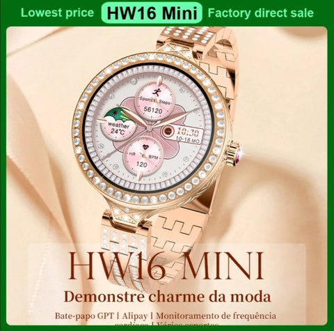 HW-16 mini smart sat