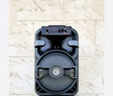 Bluetooth zvučnik karaoke zvučnik 10 inča BT-1002