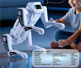 Robot pas inteligentni na daljinsko upravljanje