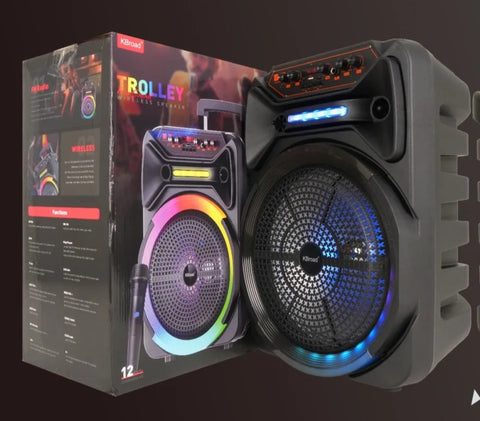 Bluetooth zvucnik KTS -2162 karaoke 12 incha